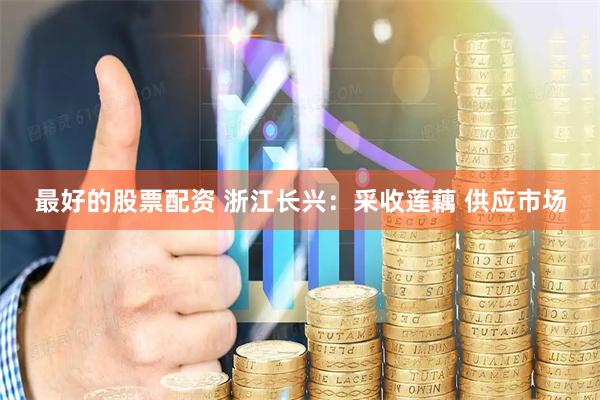 最好的股票配资 浙江长兴：采收莲藕 供应市场