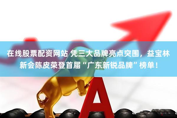 在线股票配资网站 凭三大品牌亮点突围，益宝林新会陈皮荣登首届“广东新锐品牌”榜单！